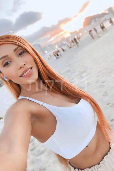 חיפה מסאזיסטית ברמה גבוהה ביותר