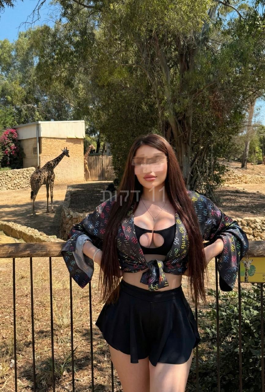 תל אביב – תיירת מחול